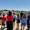 I parchi archeologici di Canosa, meta dei campi estivi della Croce Rossa Italiana