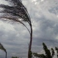 Maltempo:  Forti raffiche di vento