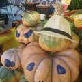 Dolcetto o  scherzetto con la zucca a km0.