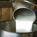 Indicazione di origine obbligatoria per il latte