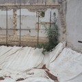 Lo stato d’abbandono del Centro sociale per anziani:
