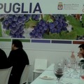 Aggregazioni di cantine e  produttori