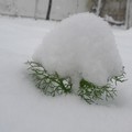 Paesaggi natalizi in Puglia