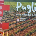 Vinitaly: Cresce l’export del vino pugliese