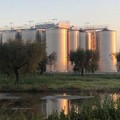 Il fenomeno delle agromafie in Puglia