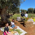 L’agriturismo in Puglia è leader nel turismo green