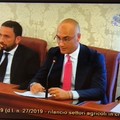 Un frantoio che chiude non riapre mai più