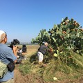 Loconia nel documentario  "Racconti dei borghi meravigliosi d'Italia "