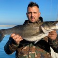 Non solo sardine c'è la spigola