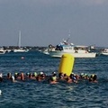 Porto Cesareo, Trofeo Aics-Snalsea  di nuoto di fondo