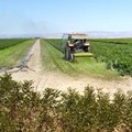 In aumento gli incidenti sul lavoro in agricoltura