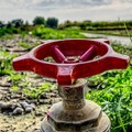 Aumento del costo dell’acqua :attività agricola non sostenibile