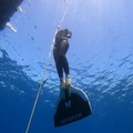 Al via il 1° Trofeo di apnea “ISOLE TREMITI”