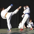 ASD Kito Ryu e CAS Canosa al Trofeo Judo Boy 2012