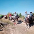 Canosa: Dalla Transumanza all'Antica Fiera del Bestiame