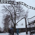 Auschwitz nelle opere degli ex-prigionieri