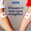 Donare sangue è una cosa semplice! L'invito dell'AVIS CANOSA 