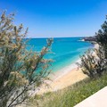 Bandiera blu a Bisceglie