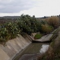 Canosa:  Interventi di 80 mila euro  per il ripristino deflusso delle acque del Canale “Fosso Piana delle Murge "