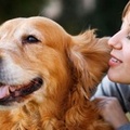 Possedere un cane fa bene al cuore e allunga la vita