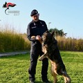 I Carabinieri al Villaggio Italia per l’Air Show delle Frecce Tricolori