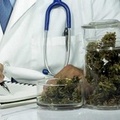 Cannabis in farmacia, Farmalabor riceve l’autorizzazione del Ministero della Salute