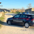 Canosa : Servizio straordinario di controllo del territorio  dei Carabinieri