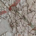 Al Museo dei Vescovi: conferenza divulgativa “Canosa a colori: viaggio tra le pitture delle domus romane "