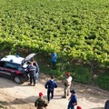 Scoperti lavoratori in nero dai Carabinieri nella campagna ofantina