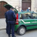 Fase 2: sicurezza e  legalità 		