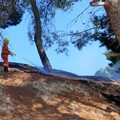 Canosa :  Ancora in fiamme la pineta del Castello
