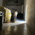 Canosa: Il Cinema Strippoli riapre per la residenza artistica  "In-Ruins "