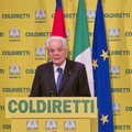 Al via la campagna digitale per l'etichetta trasparente sui cibi