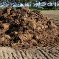 La Russia blocca export concimi
