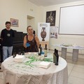 Canosa: Tra degustazioni di olio EVO e visite archeologiche