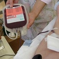5 Giornate Straordinarie di Donazione del sangue dell' l’Avis di Canosa