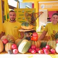 Puglia: E' “Zucca Day”  nei mercati di Campagna Amica