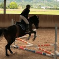 Canosa: Attività di equitazione per minori affetti dal disturbo dello spettro autistico con metodo ABA
