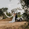 Puglia :Boom delle nozze in masseria e dell’agriwedding
