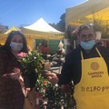 Festa della Mamma: la rosa, il fiore preferito