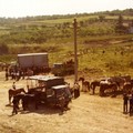 Canosa: nel ricordo della Fiera del bestiame