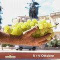 L’uva da tavola di Puglia prodotto simbolo al Macfrut 2024