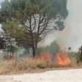 Incendi: La Puglia brucia da nord a sud