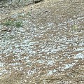 Maltempo: Si fa la conta dei danni