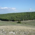 II Edizione della Marathon Bosco di Bitonto