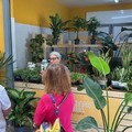 Vitamina Verde: i benefici di piante e fiori per gli edifici e per la nostra salute”