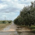 Difficoltà nella viabilità tra Andria-Canosa