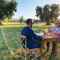 Puglia in zona gialla:pesanti perdite per agriturismi