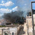 Canosa: In fiamme la pineta del Castello