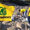 Emergenze ambientali: i rifiuti spiaggiati